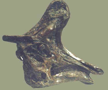 Lambeosaurus skull from Research Casting