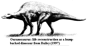 Hump-backed Ouranosaurus