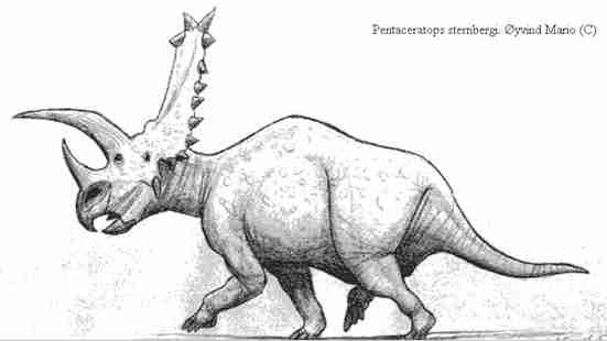 Pentaceratops sternbergi