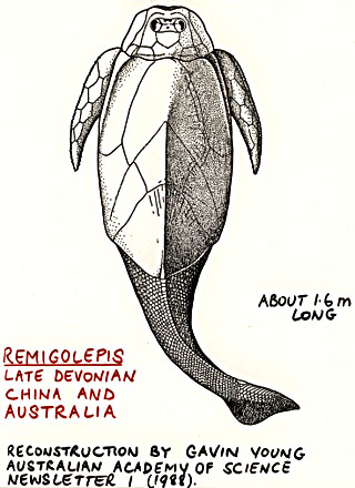 Remigolepis walkeri