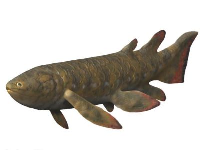 Holoptychius