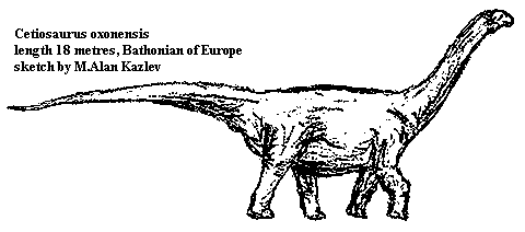 Cetiosaurus oxonensis 