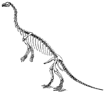 Anchisaurus