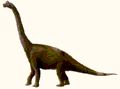 Brachiosaurs and Camarasaurs