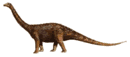 Titanosaurs