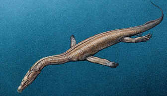 Lebensbild von Ceresiosaurus calcagnii (Nothosauridae)