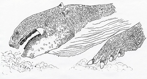 Henodus life restoration, drawing by Darren Naish