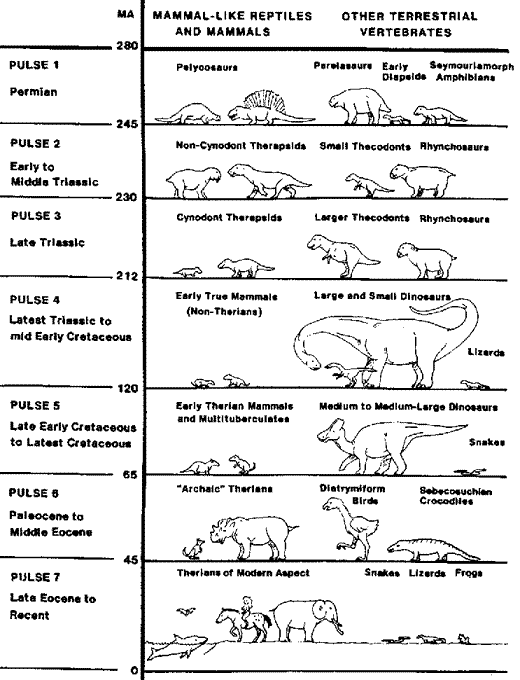 Pulses of synapsid (=Theropsid) evolution