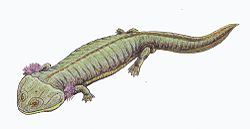 Dvinosaurus