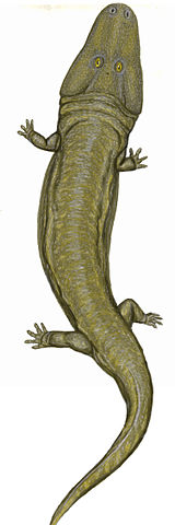 Uranocentrodon senekalensis - life Reconstruction by Dmitry Bogdanov