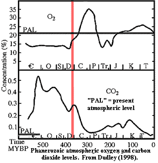 Phanerozoic oxygen & carbon dioxide. Dudley (1998).