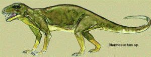 Biarmosuchus