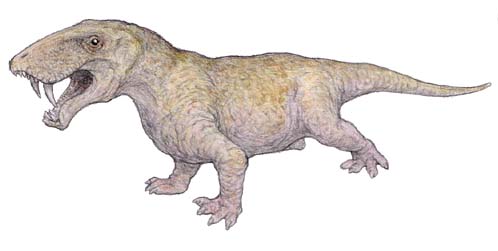 Eotitanosuchus olsoni