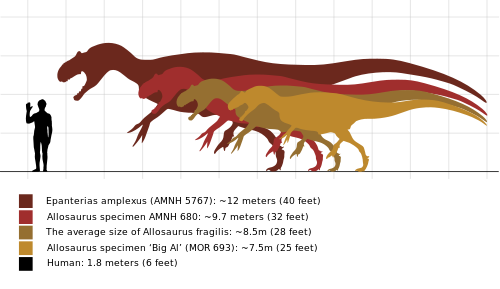 Allosaurus size comparison
