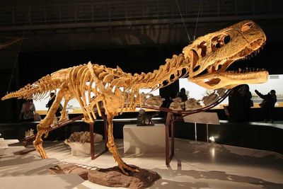 Aucasaurus garridoi - Mounted skeleton reconstruction.