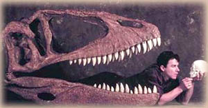 Carcharodontosaurus