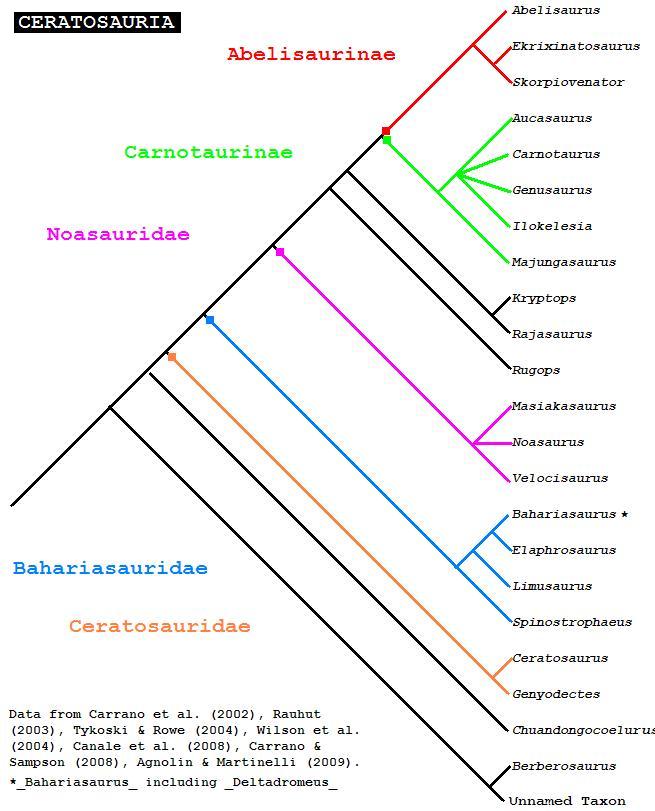 Ceratosaur Phylogeny, from Dinozaury com