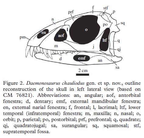 Daemonosaurus, after Sues et al 2011