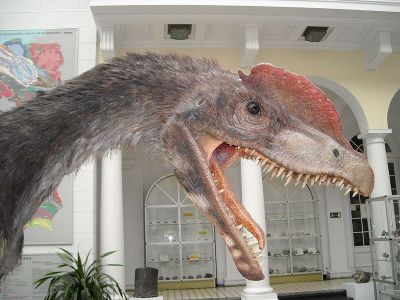 Model of Dilophosaurus wetherilli in the Geological Museum of the Polish Geological Institute in Warsaw.