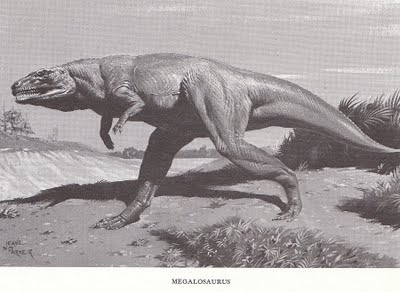 Megalosaurus by Neave Parker