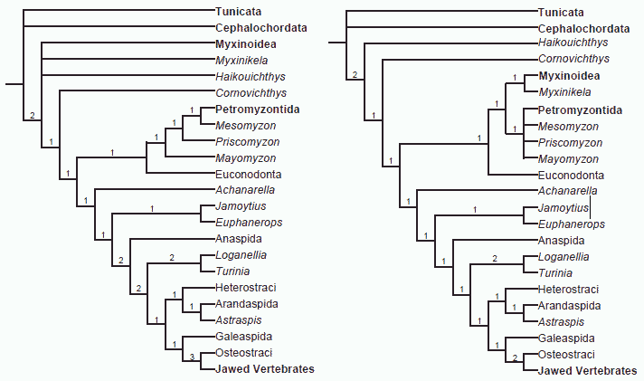 Sansom et al cladogram